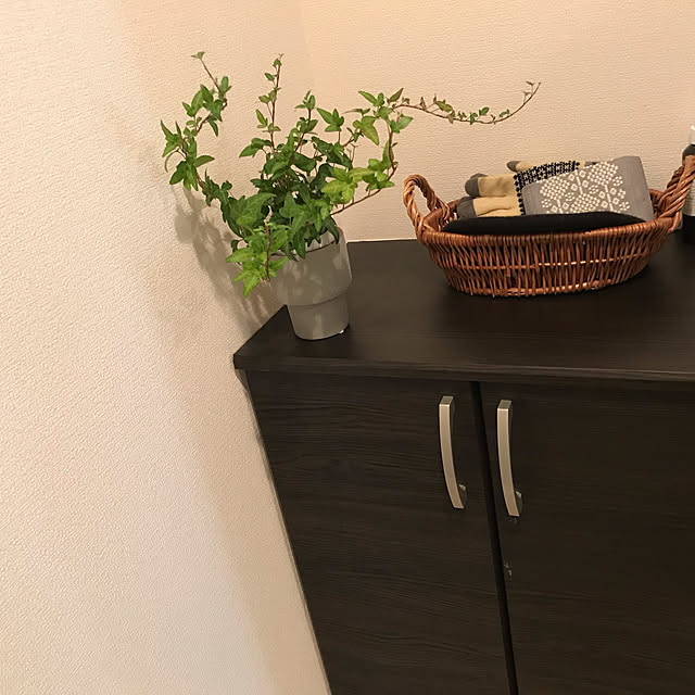 観葉植物/一人暮らし/玄関/入り口のインテリア実例 - 2020-12-02 14:49:29