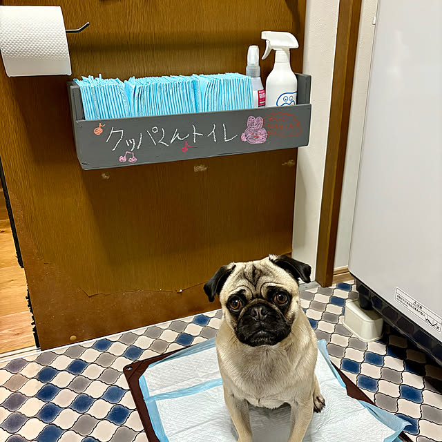 mid0konさんの実例写真