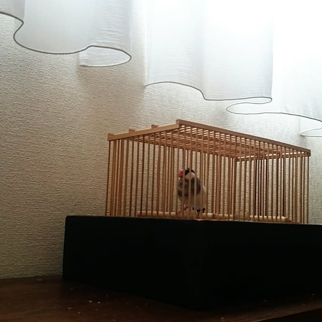 bunchoさんの実例写真
