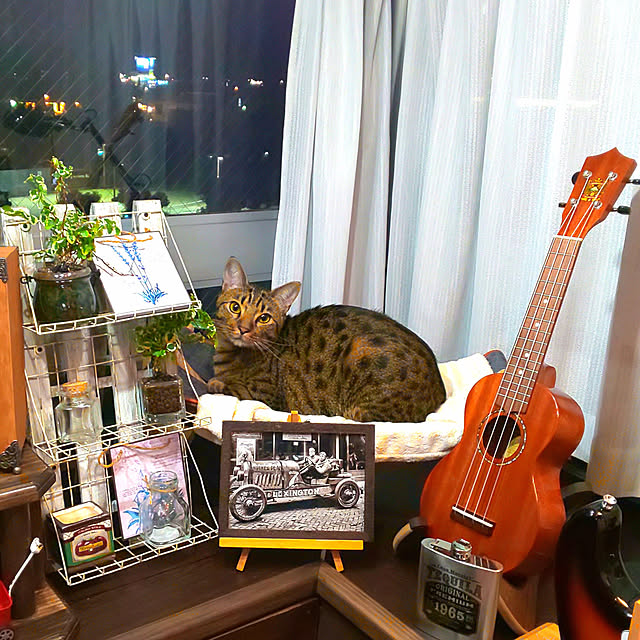 ken.kawakamiさんの実例写真