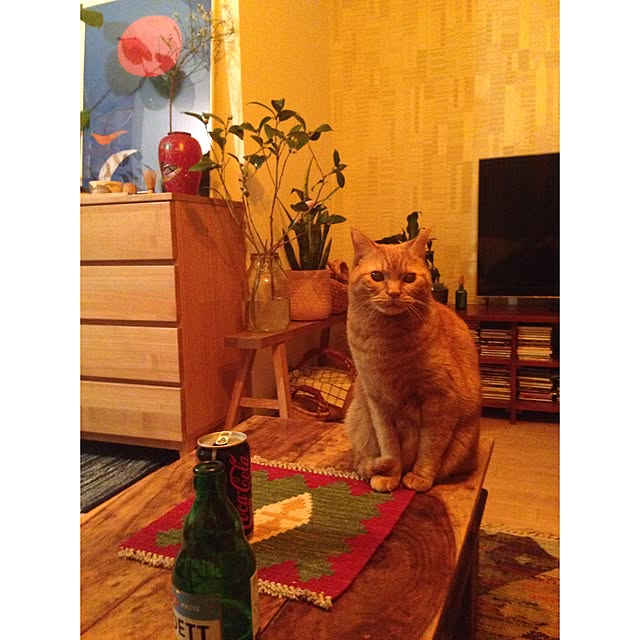ATmさんの実例写真