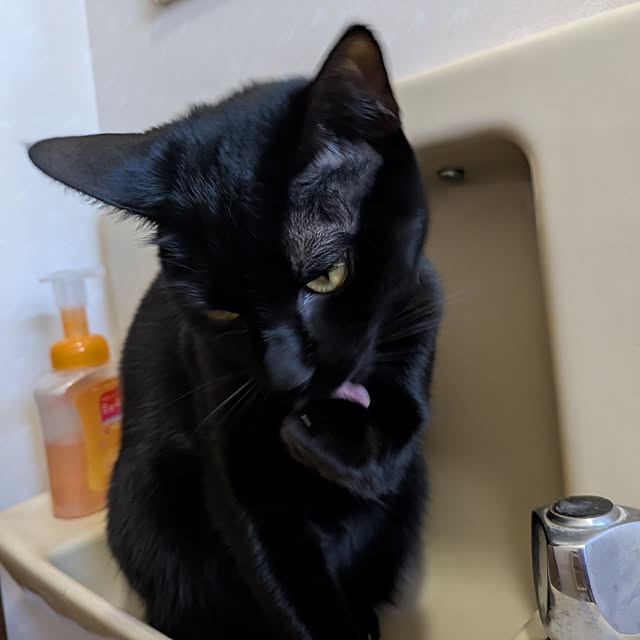 asaさんの実例写真