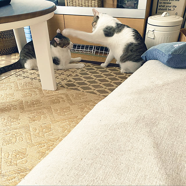 Lufuさんの実例写真