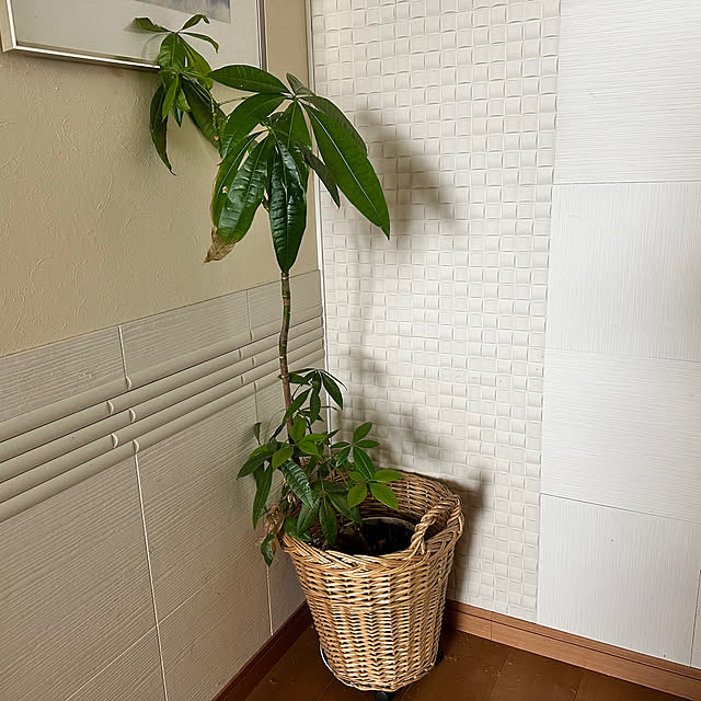 mizucchiさんの部屋