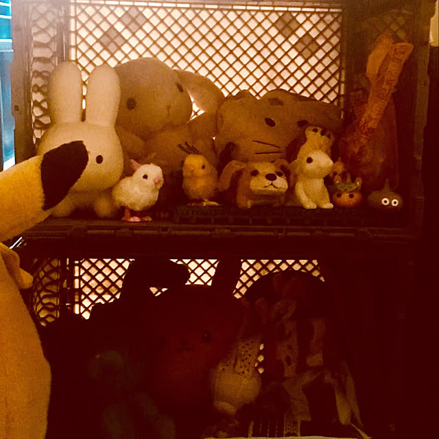 Kenji_AOYAGIさんの実例写真
