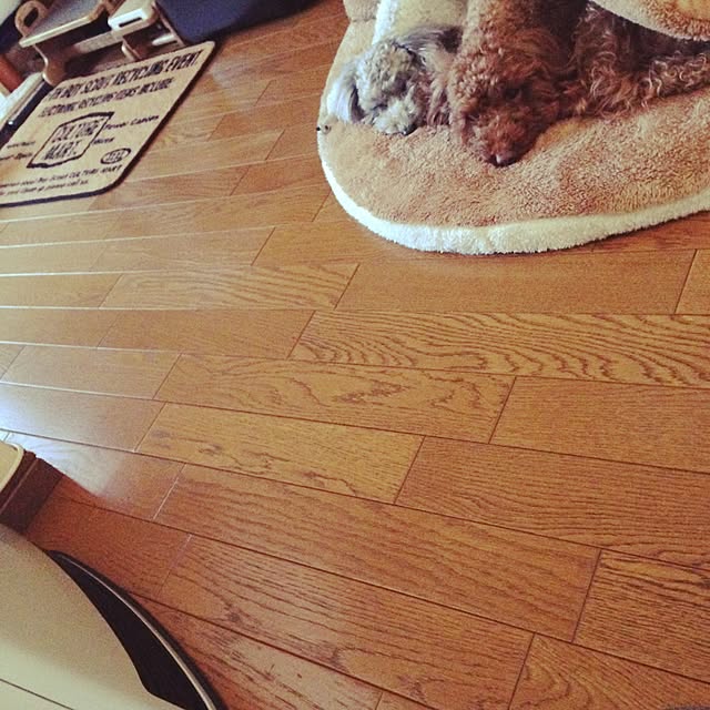 s.s.l_mikiさんの実例写真