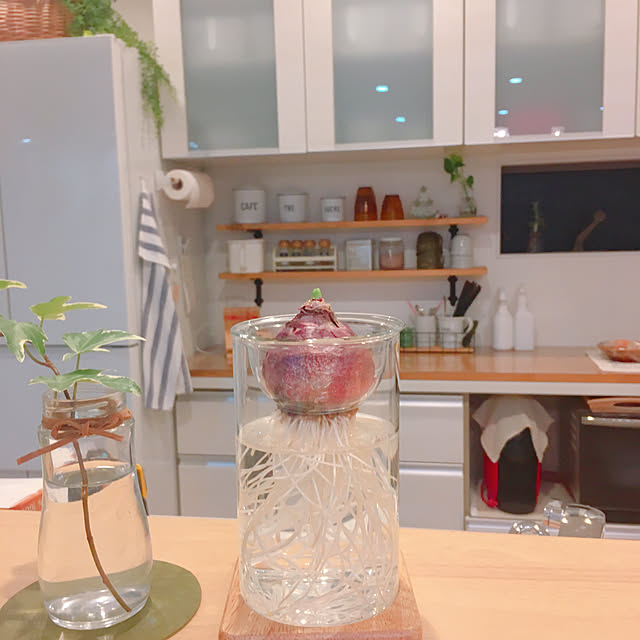 makiさんの実例写真