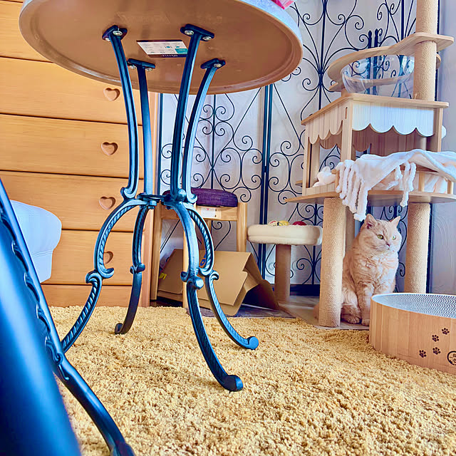 naokoさんの部屋