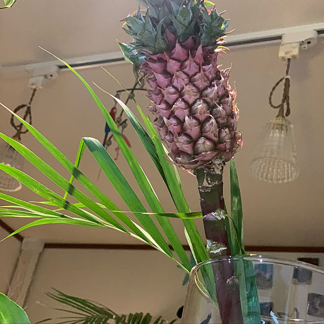 odekoさんの実例写真