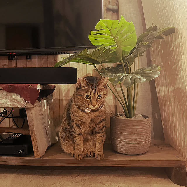 Mさんの部屋