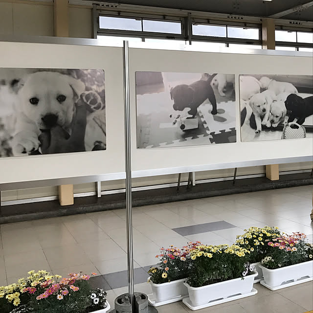 sakurasakuさんの実例写真