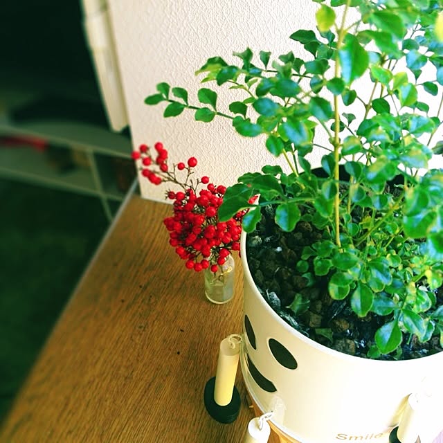 L.さんの実例写真