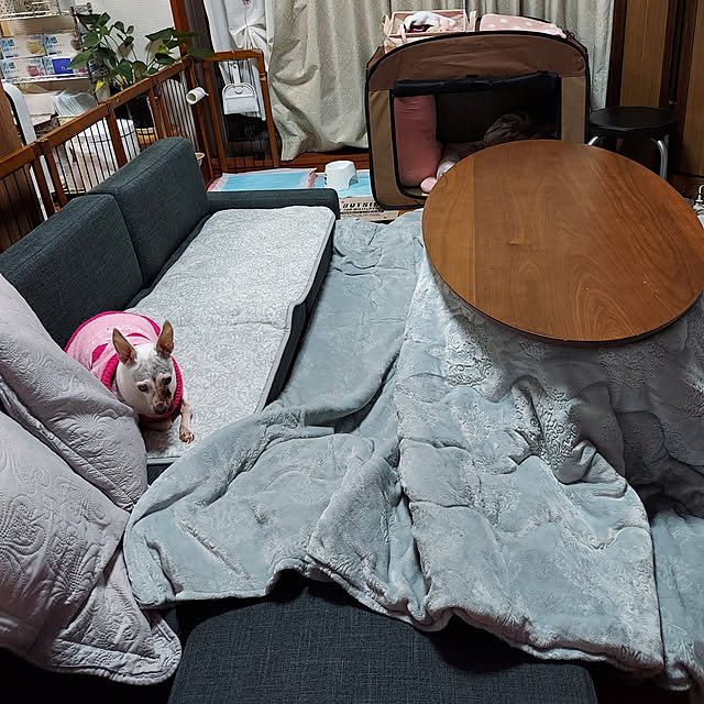 nobuさんの実例写真