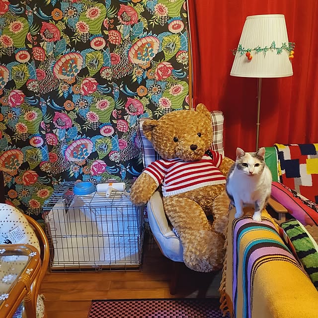 kumutanさんの実例写真