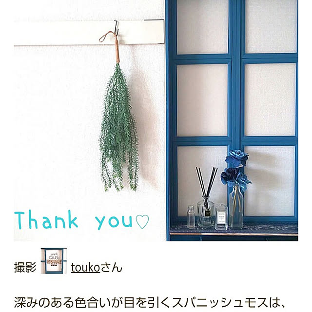 toukoさんの実例写真
