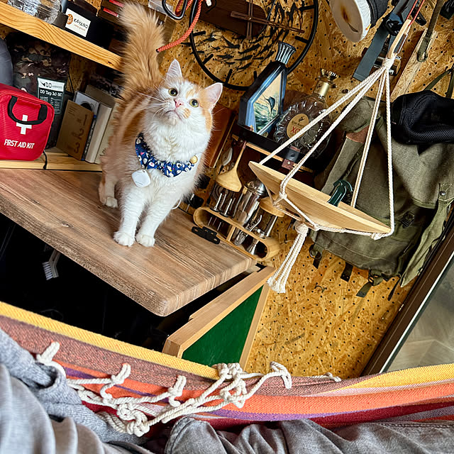 yutaさんの部屋