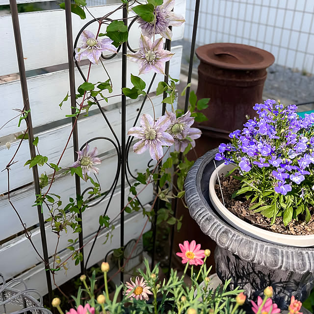 SAYOさんの部屋