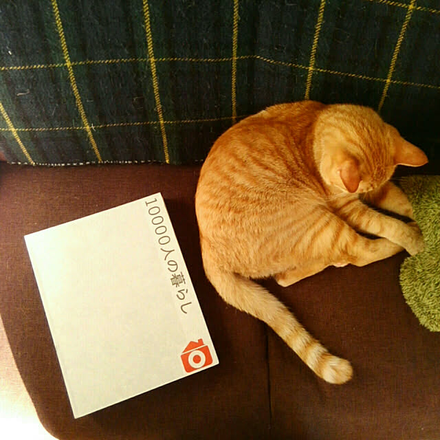 mayutan.さんの実例写真