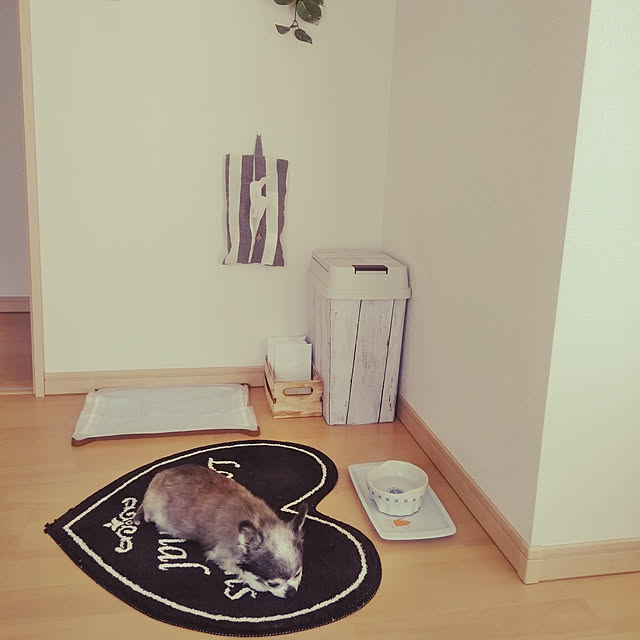 namiさんの実例写真