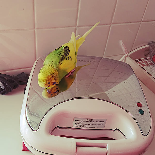 kyonさんの実例写真