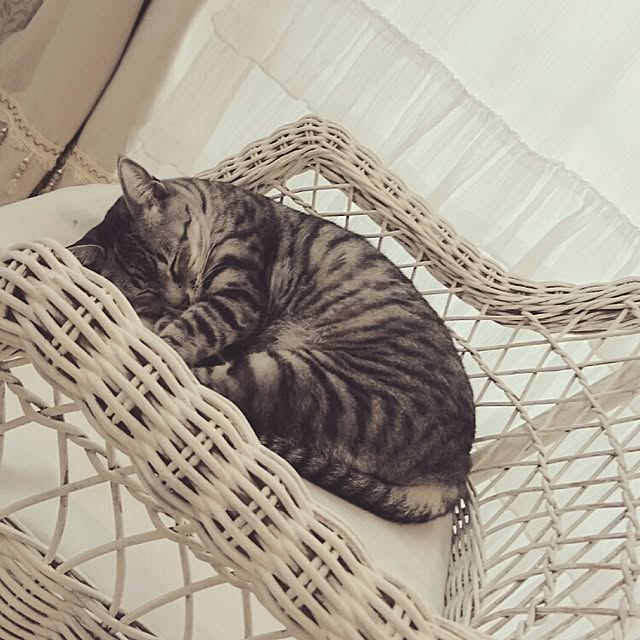 mipoさんの実例写真