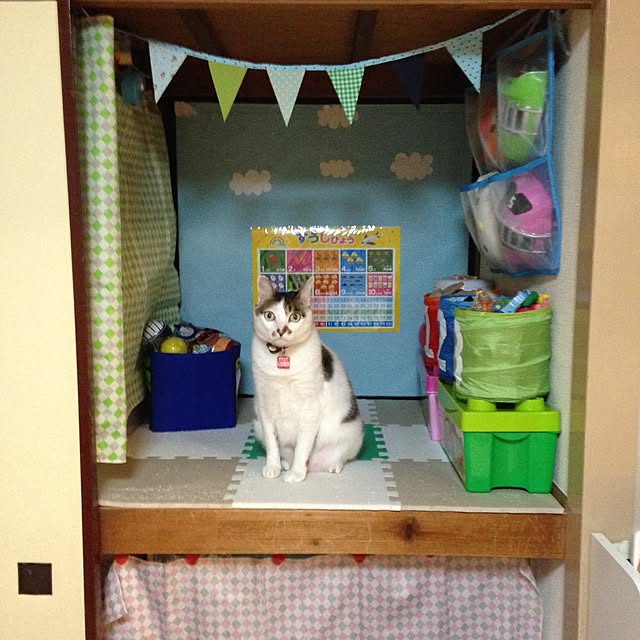 Sakiさんの実例写真