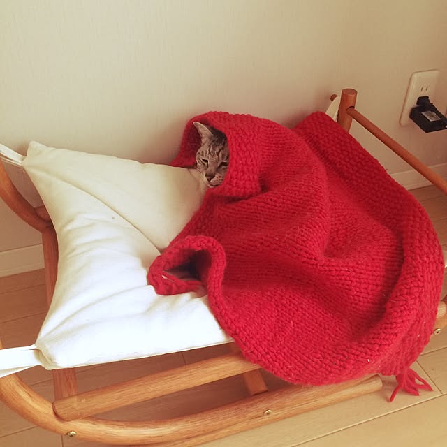 Kyoukoさんの実例写真