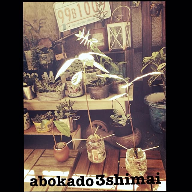 Mikaさんの実例写真