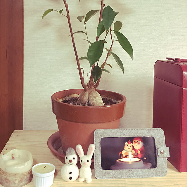 natural-sinple.28さんの実例写真