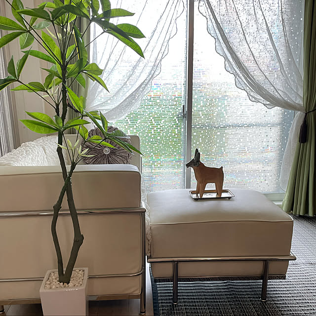 aureaさんの実例写真
