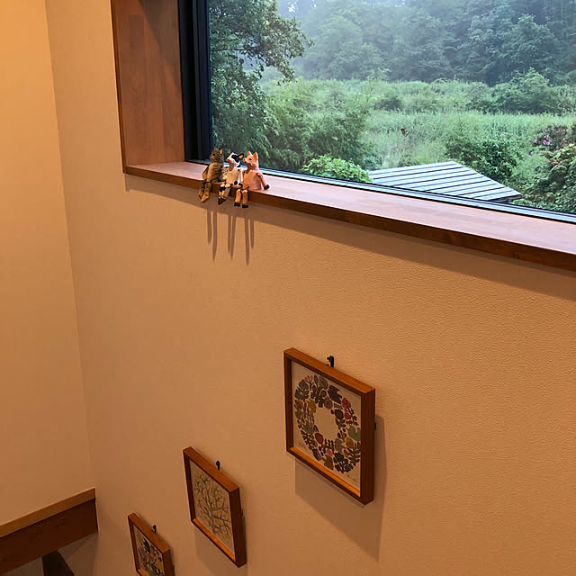 kotaroさんの実例写真