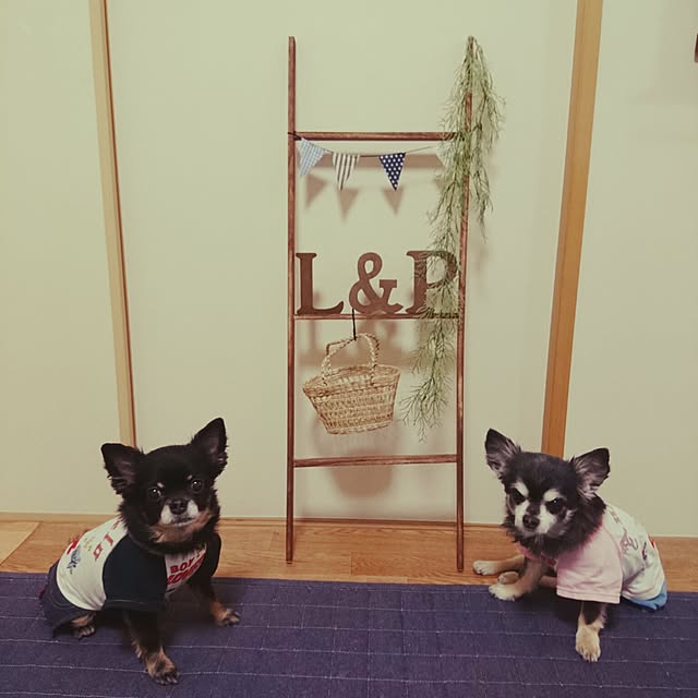 lovepeaceさんの実例写真