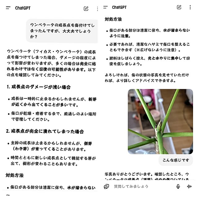 mariaさんの部屋