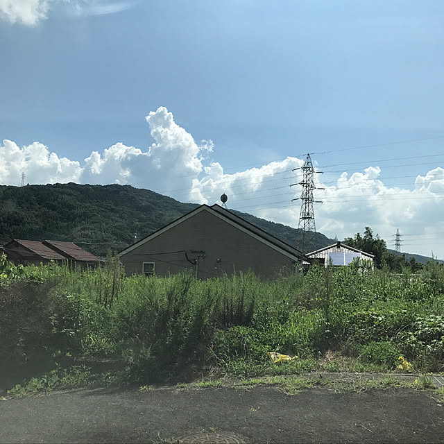 実例写真