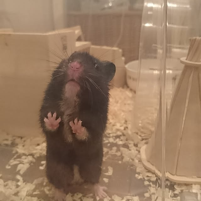 Matsu62さんの実例写真