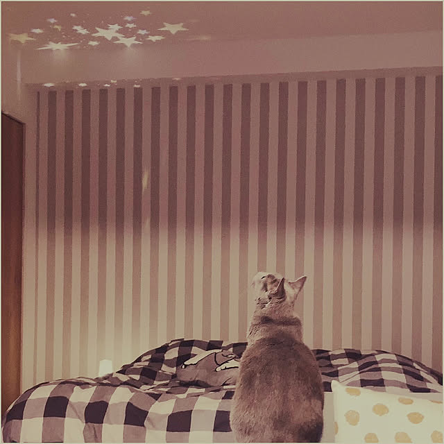 snoopyさんの実例写真