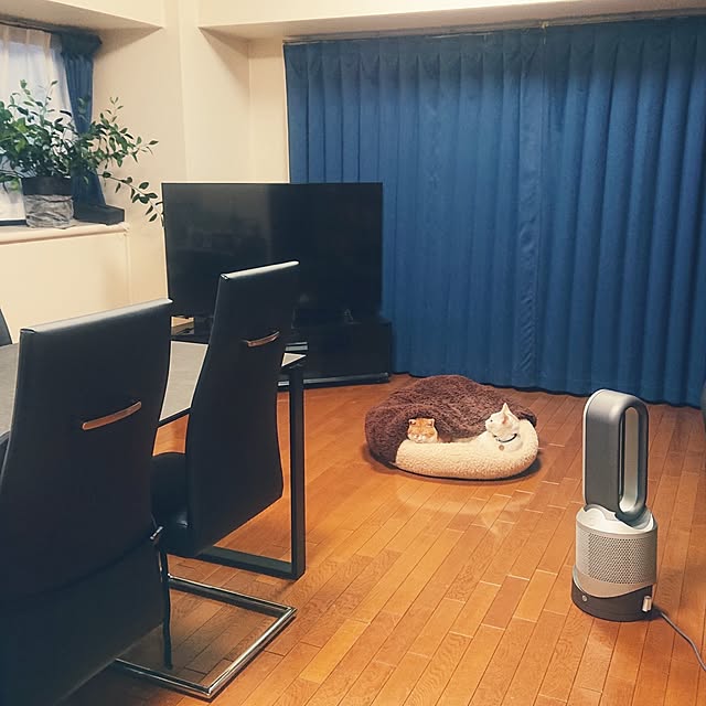 NOAHさんの実例写真