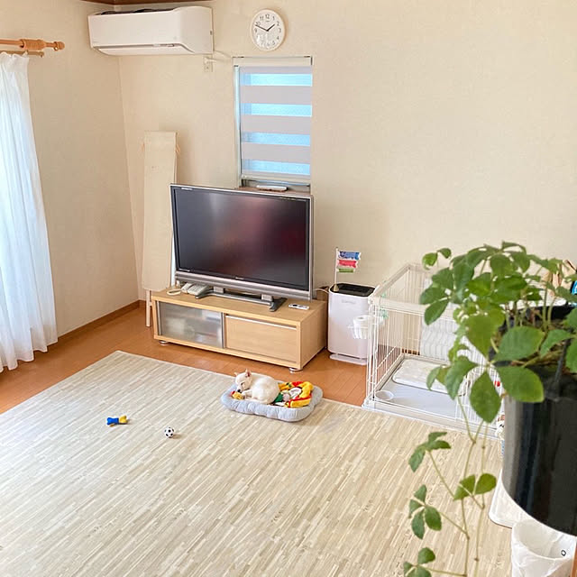ruruさんの実例写真