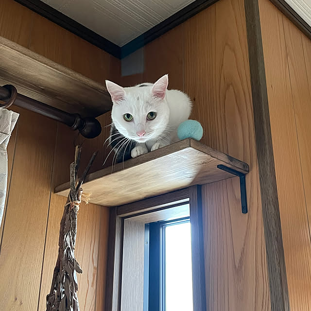Rt_styleさんの部屋