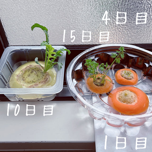 reika111さんの実例写真