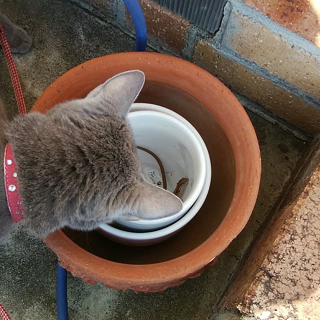 tomo1220さんの実例写真