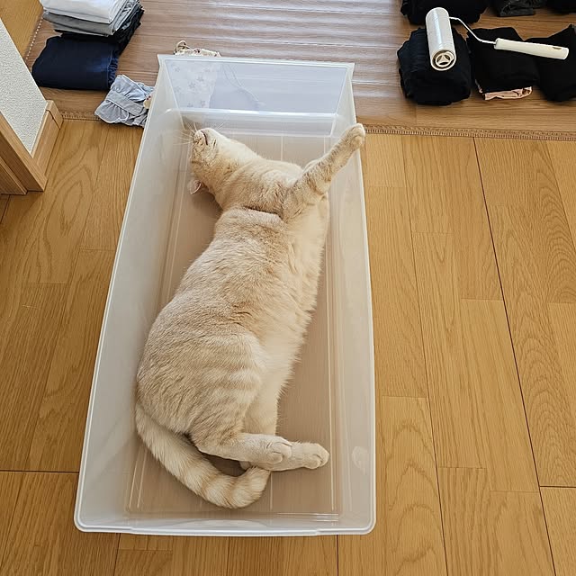 makoさんの部屋