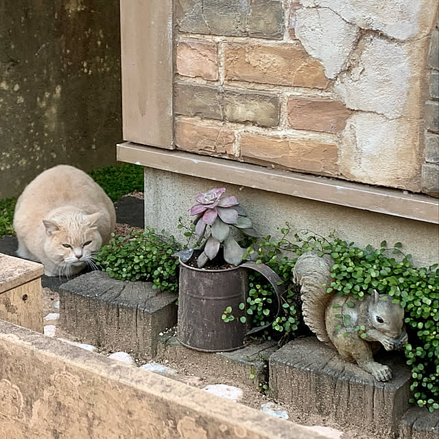 tabasaさんの実例写真
