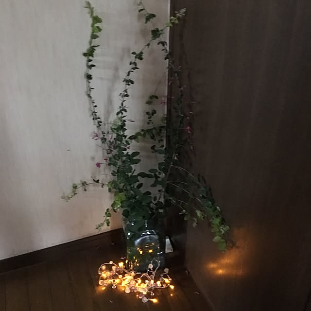 suzukoさんの実例写真