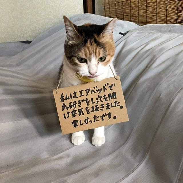 Tackunさんの部屋