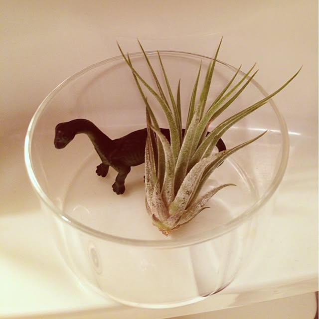 takaさんの実例写真