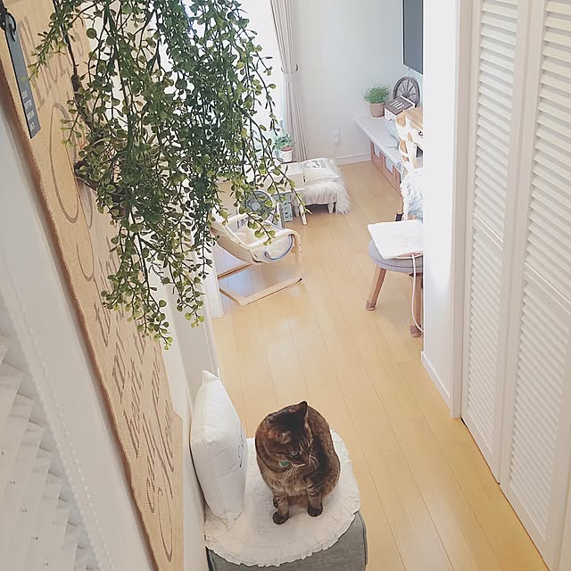 lovecatさんの実例写真