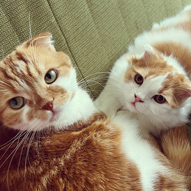 sojiさんの実例写真