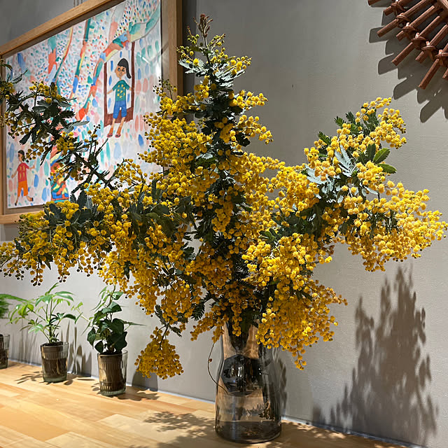 plants.fjkさんの実例写真