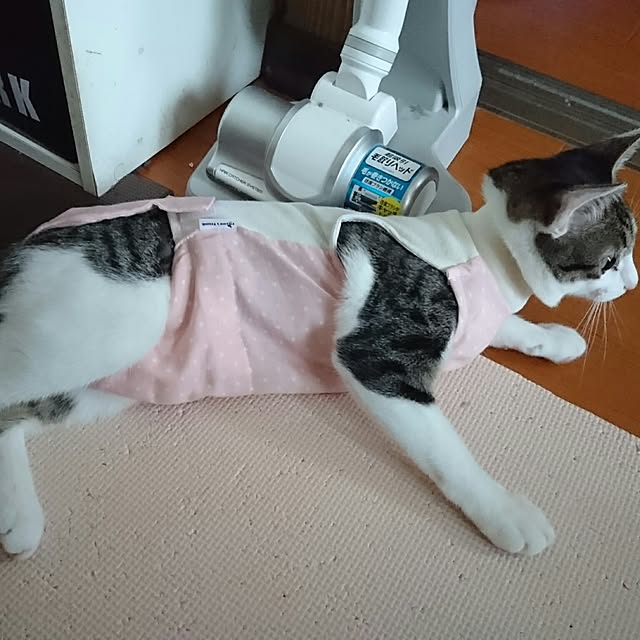 kiraさんの実例写真